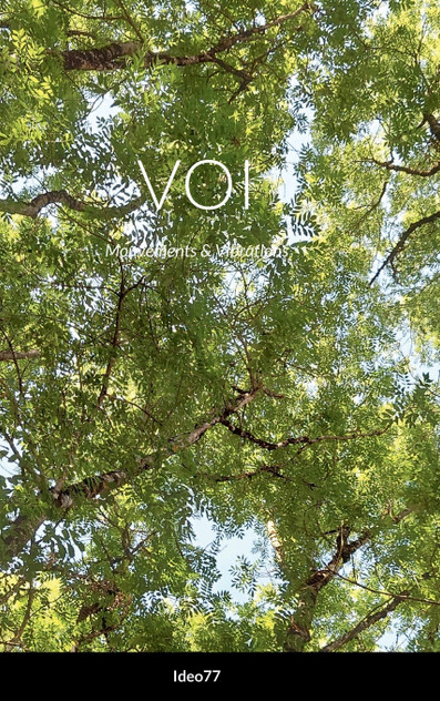 VOI