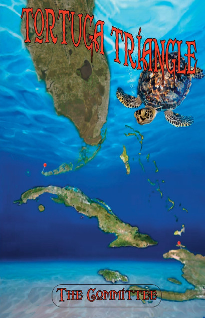 Tortuga Triangle Tortuga Triangle