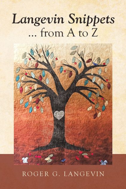Langevin Snippets  ... from a to Z