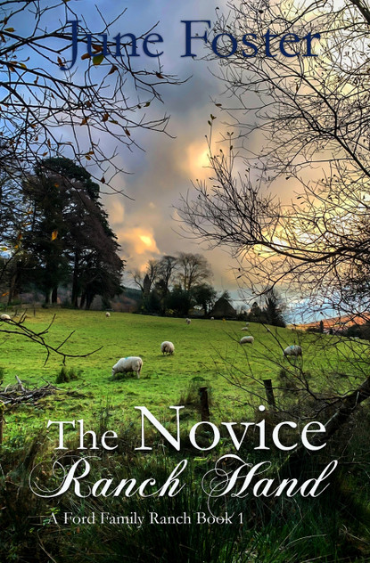 The Novice Ranch Hand The Novice Ranch Hand