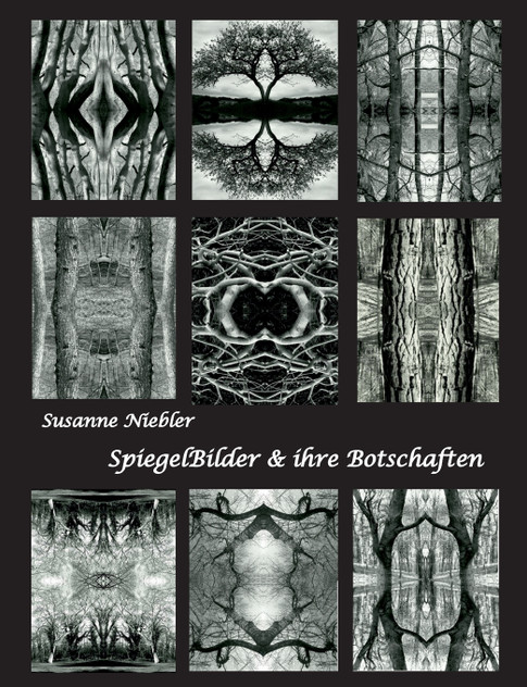 SpiegelBilder und ihre Botschaften
