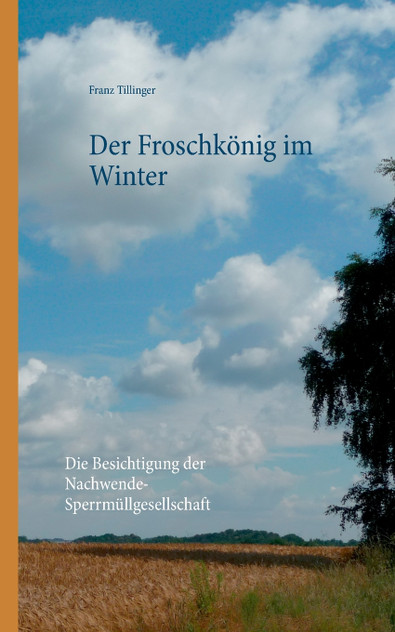 Der Froschkönig im Winter