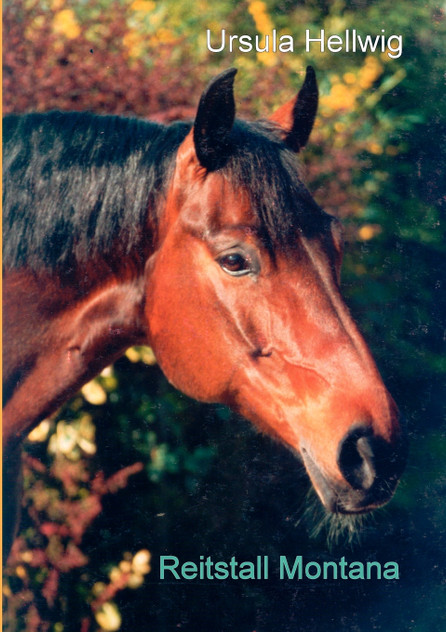 Reitstall Montana Reitstall Montana
