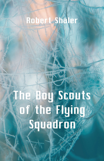 The Boy Scouts of the Flying Squadron The Boy Scouts of the Flying Squadron
