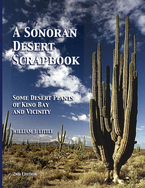 A Sonoran Desert Scrapbook A Sonoran Desert Scrapbook