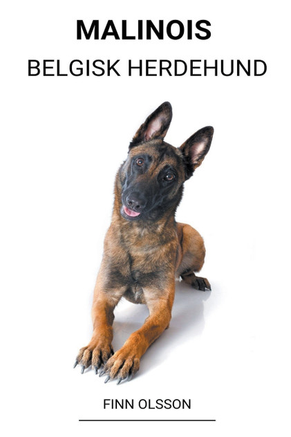 Malinois (Belgisk Herdehund) Malinois (Belgisk Herdehund)