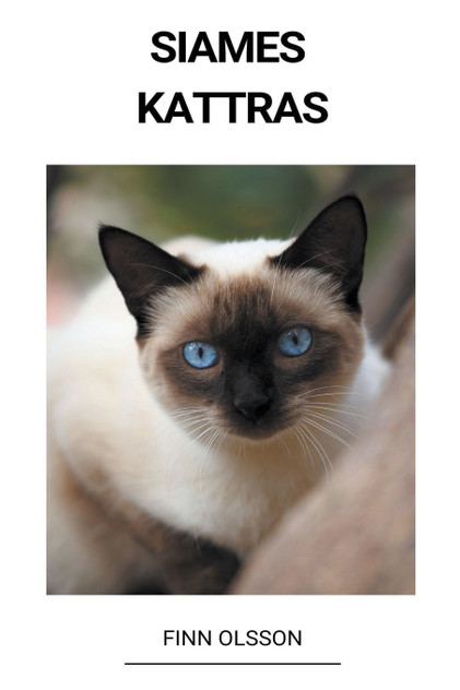 Siames (Kattras) Siames (Kattras)