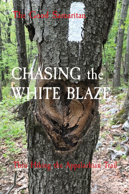 CHASING the WHITE BLAZE CHASING the WHITE BLAZE