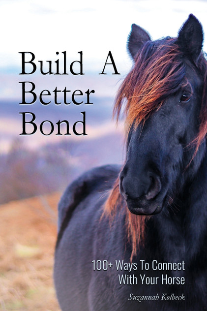 Build A Better Bond