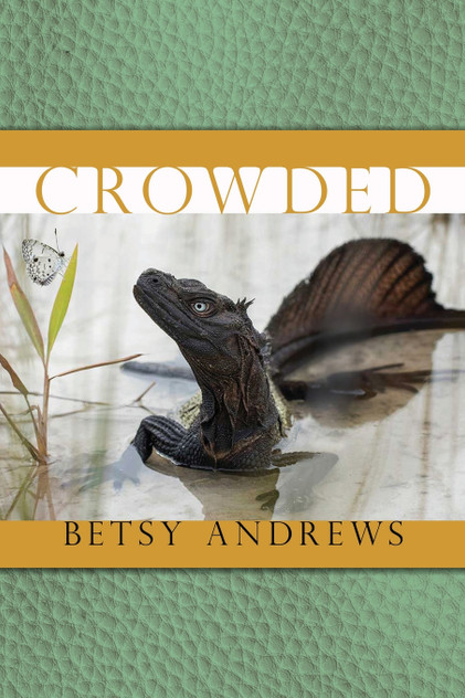 Crowded Crowded