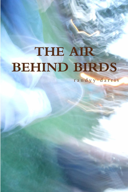 The Air Behind Birds The Air Behind Birds