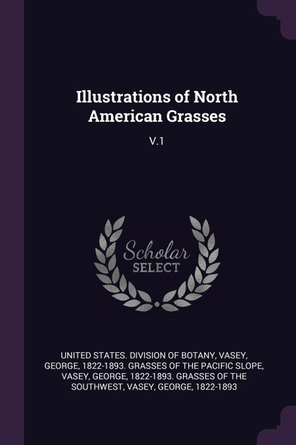Illustrations of North American Grasses Illustrations of North American Grasses