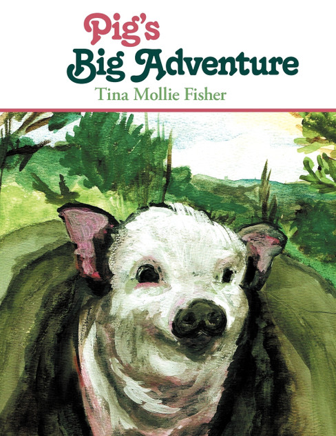 Pig's Big Adventure Pig's Big Adventure