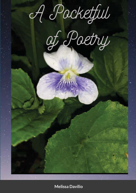 A Pocketful of Poetry A Pocketful of Poetry