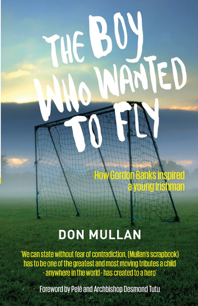 The Boy Who Wanted To Fly The Boy Who Wanted To Fly