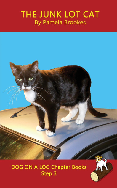 The Junk Lot Cat Chapter Book The Junk Lot Cat Chapter Book