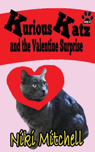 Kurious Katz and the Valentine Surprise Kurious Katz and the Valentine Surprise