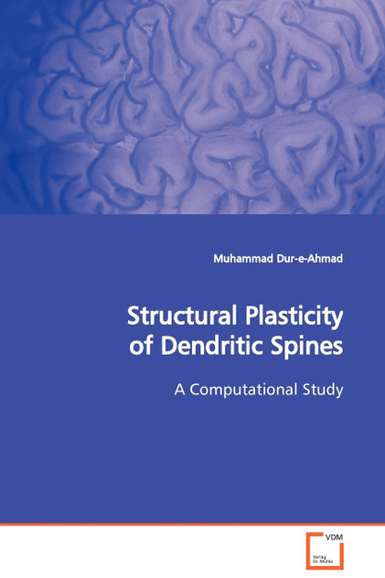 Structural Plasticity of Dendritic Spines Structural Plasticity of Dendritic Spines