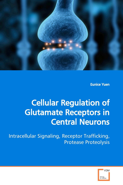Cellular Regulation of Glutamate Receptors in  Central Neurons
