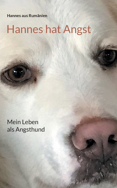 Hannes hat Angst