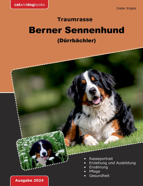 Traumrasse Berner Sennenhund Traumrasse Berner Sennenhund