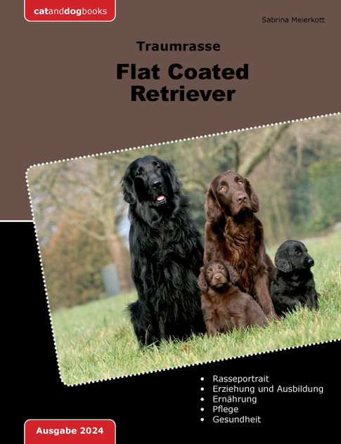 Traumrasse Flat Coated Retriever