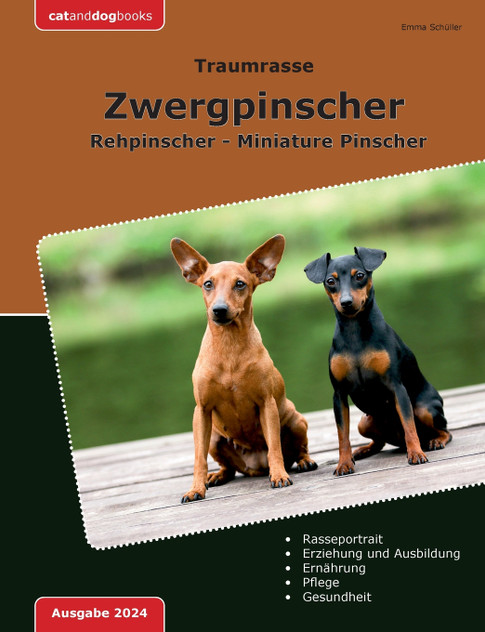 Traumrasse Zwergpinscher