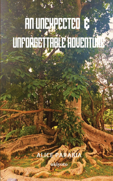 An unexpected & unforgettable adventure An unexpected & unforgettable adventure