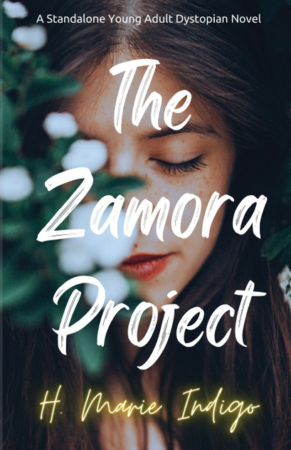 The Zamora Project The Zamora Project