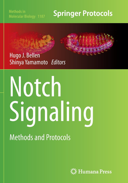 Notch Signaling Notch Signaling
