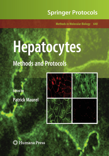 Hepatocytes Hepatocytes
