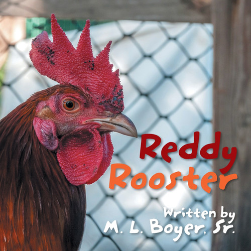 Reddy Rooster Reddy Rooster