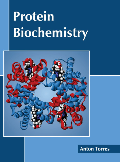 Protein Biochemistry Protein Biochemistry
