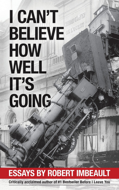 I Can't Believe How Well It's Going