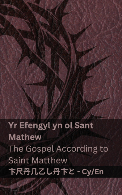 Y Beibl (Yr Efengyl yn ol Sant  Mathew) / The Bible (The Gospel According to Saint Matthew)