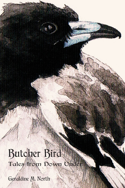 Butcher Bird Butcher Bird