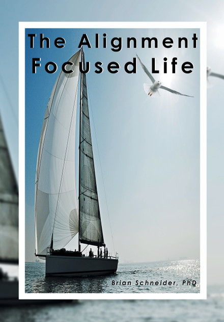 The Alignment Focused Life The Alignment Focused Life