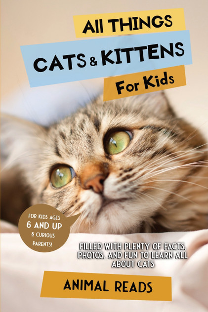 All Things Cats & Kittens For Kids All Things Cats & Kittens For Kids