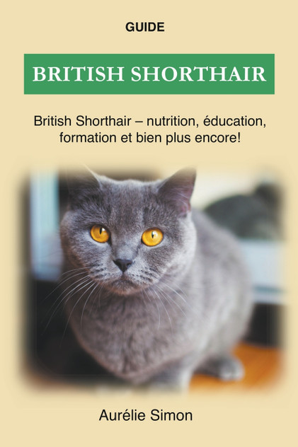 British Shorthair - Nutrition, Éducation, Formation British Shorthair - Nutrition, Éducation, Formation