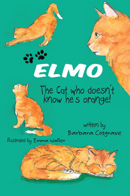 ELMO The Cat who doesn't know he's orange! ELMO The Cat who doesn't know he's orange!