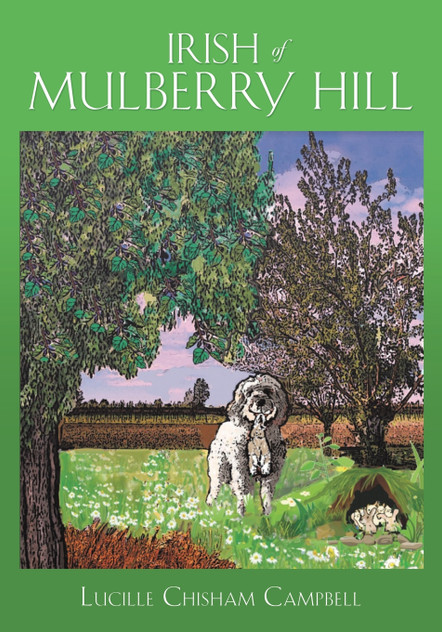 IRISH OF MULBERRY HILL IRISH OF MULBERRY HILL