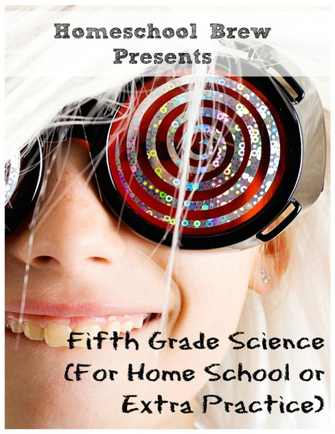Fifth Grade Science Fifth Grade Science