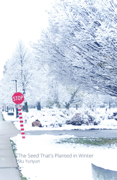 The Seed That's Planted in Winter