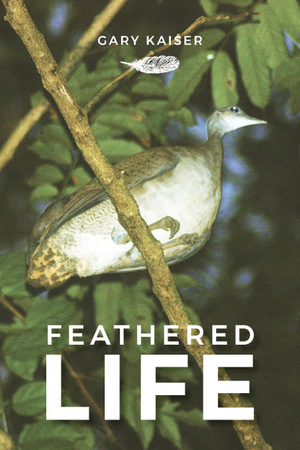 Feathered Life Feathered Life