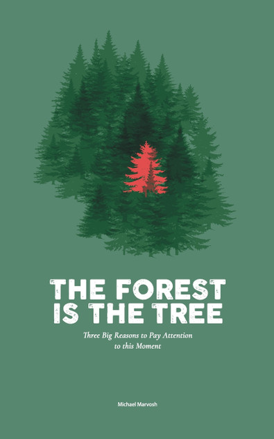The Forest is the Tree The Forest is the Tree