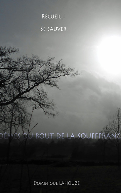 Poèmes du bout de la souffrance - Recueil I Poèmes du bout de la souffrance - Recueil I