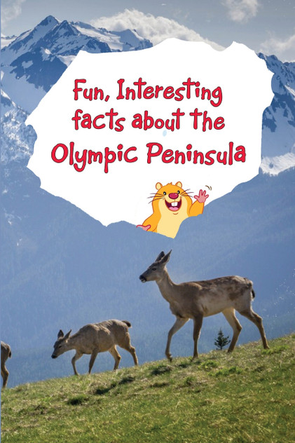 Fun, Interesting Facts About the Olympic Peninsula Fun, Interesting Facts About the Olympic Peninsula
