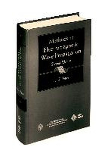 Methods in Electromagnetic Wave Propagation