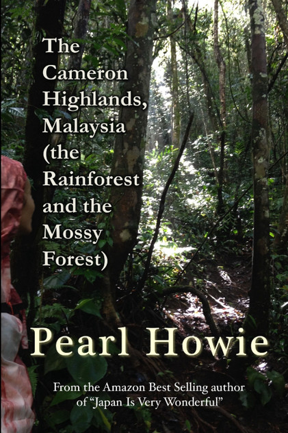 The Cameron Highlands, Malaysia (the Rainforest and the Mossy Forest)