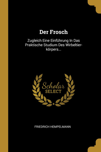 Der Frosch Der Frosch